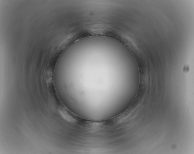 X0000091570081200709051048