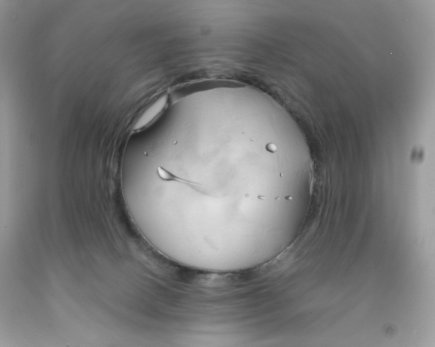 X0000091570082200709051048