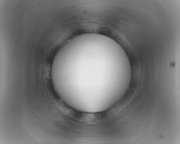 X0000091570083200709051048