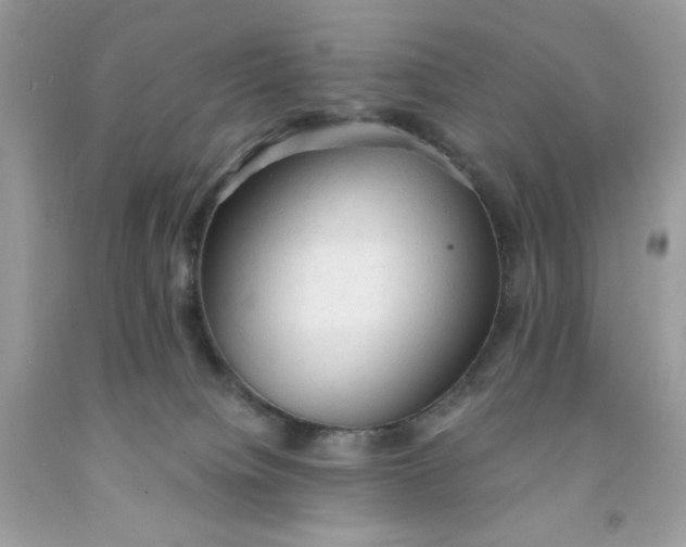 X0000091570084200709051048