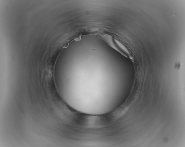 X0000091570085200709051048