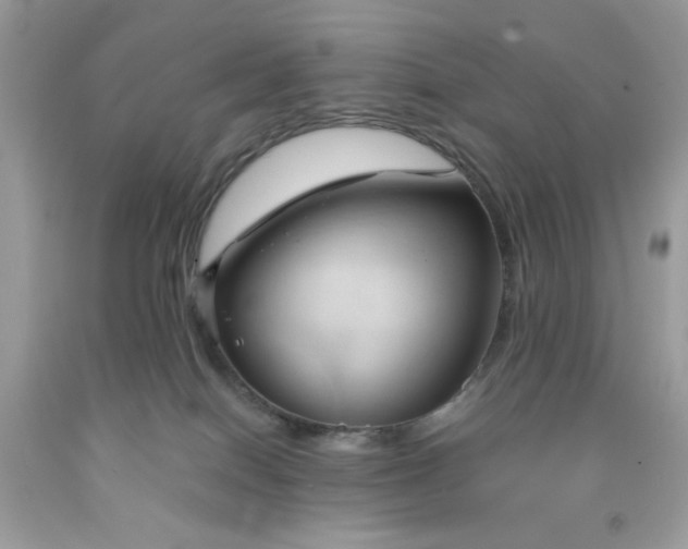 X0000091570086200709051048