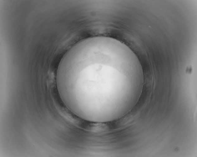 X0000091570087200709051048