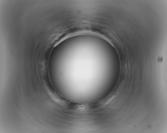 X0000091570088200709051048