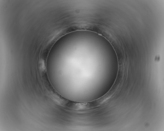 X0000091570089200709051048