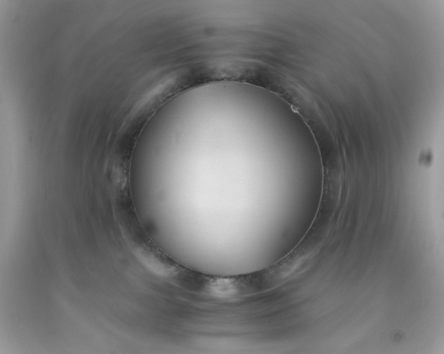 X0000091570091200709051048