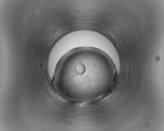 X0000091570092200709051048