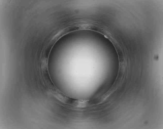 X0000091570093200709051048