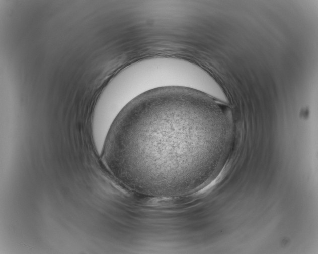 X0000091570094200709051048