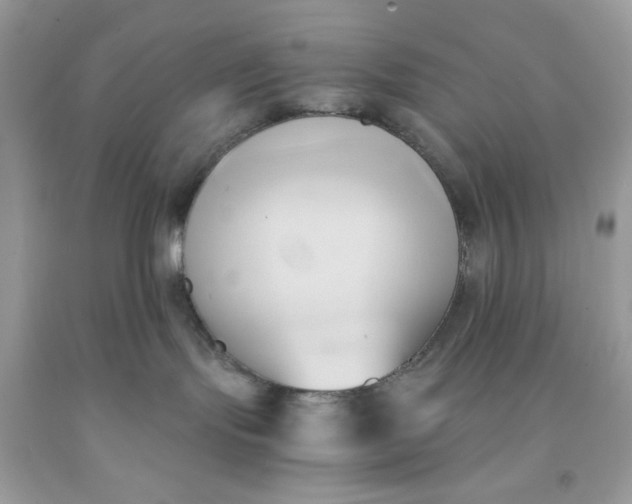 X0000091570095200709051048