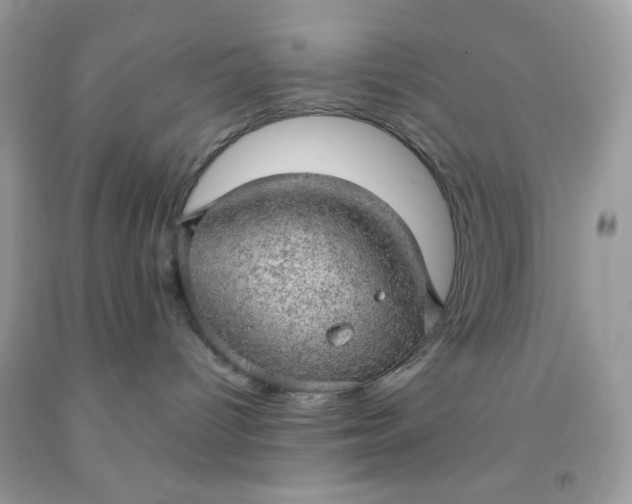 X0000091570096200709051048