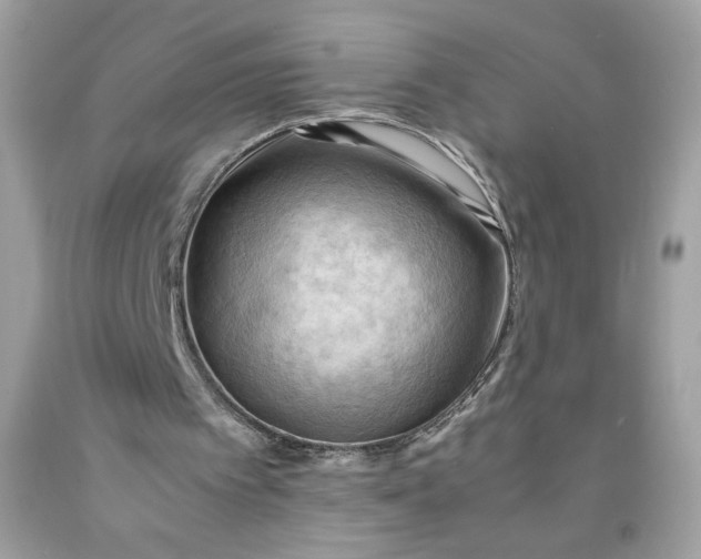 X0000091570097200709051047