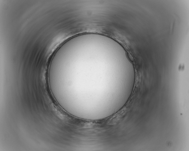 X0000091570098200709051047