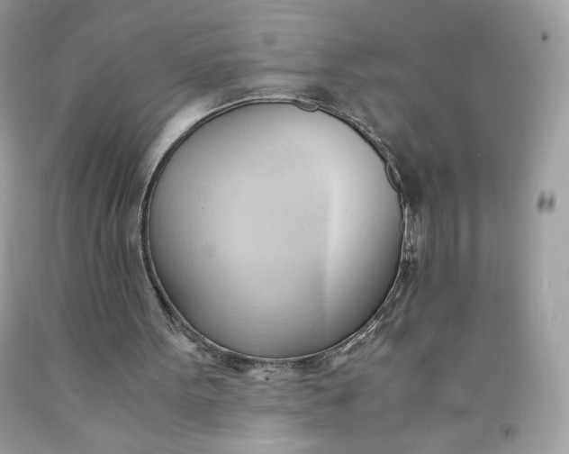 X0000091570099200709051047