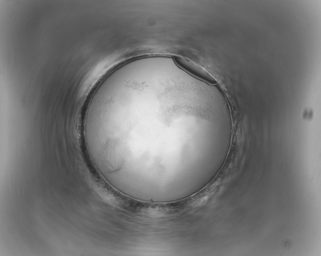 X0000091570103200709051047