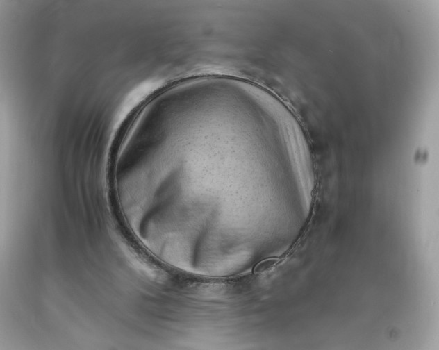 X0000091570104200709051047