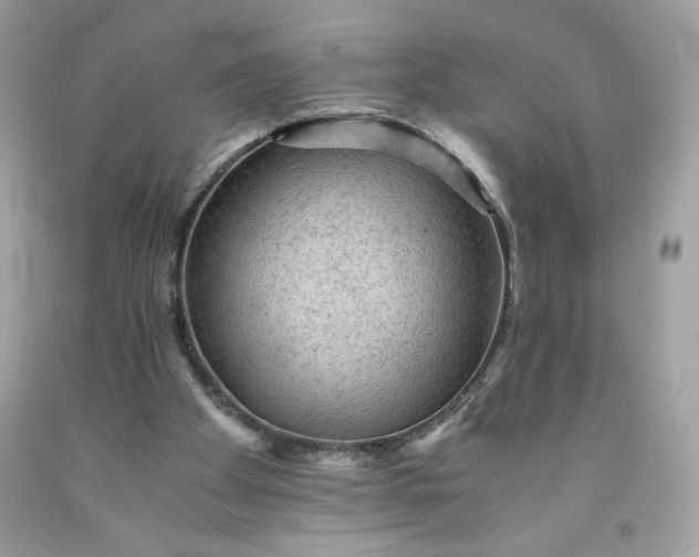 X0000091570105200709051047