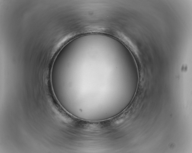 X0000091570107200709051047