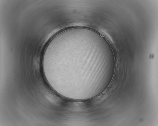 X0000091570108200709051047