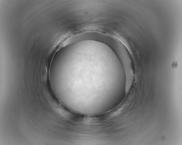 X0000091570109200709051047