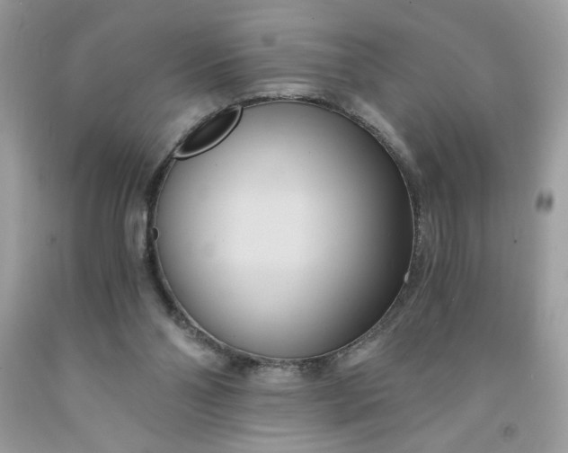 X0000091570110200709051047