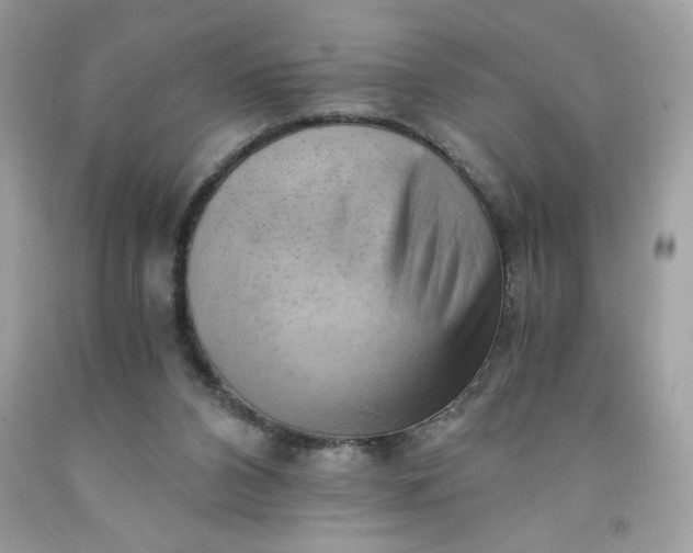 X0000091570112200709051047