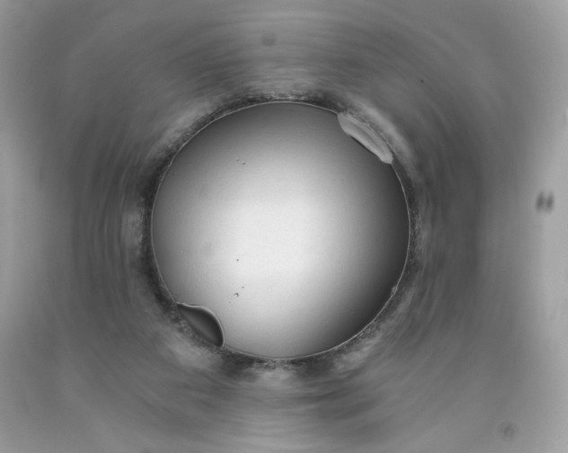 X0000091570113200709051047