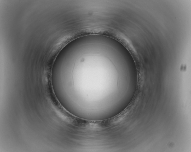 X0000091570114200709051047