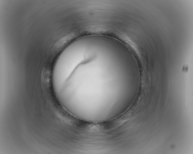 X0000091570115200709051047