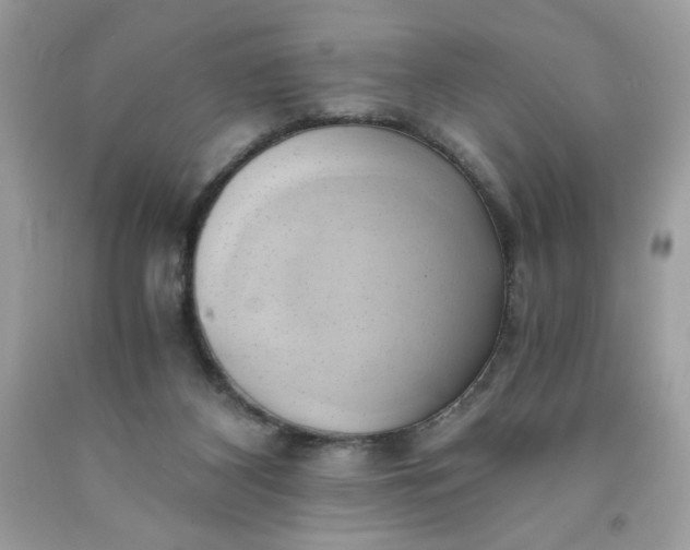 X0000091570116200709051047