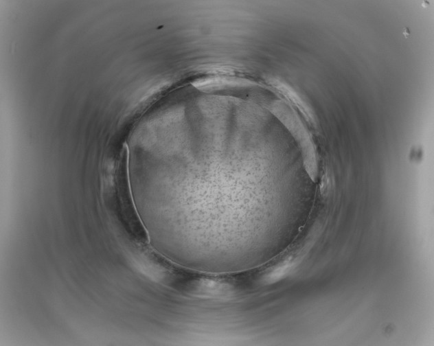 X0000091570117200709051047