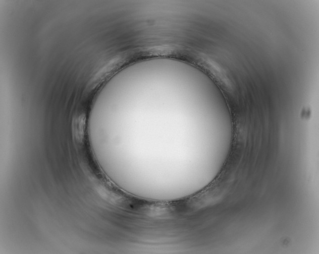 X0000091570118200709051047