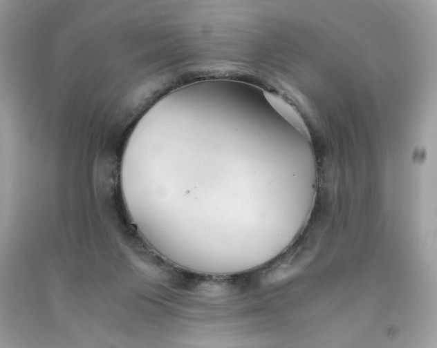 X0000091570119200709051047