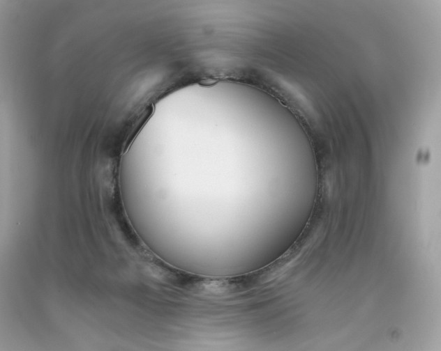 X0000091570121200709051047