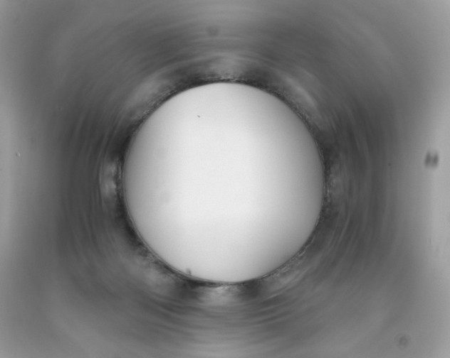 X0000091570122200709051047