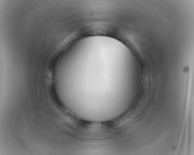 X0000091570123200709051047