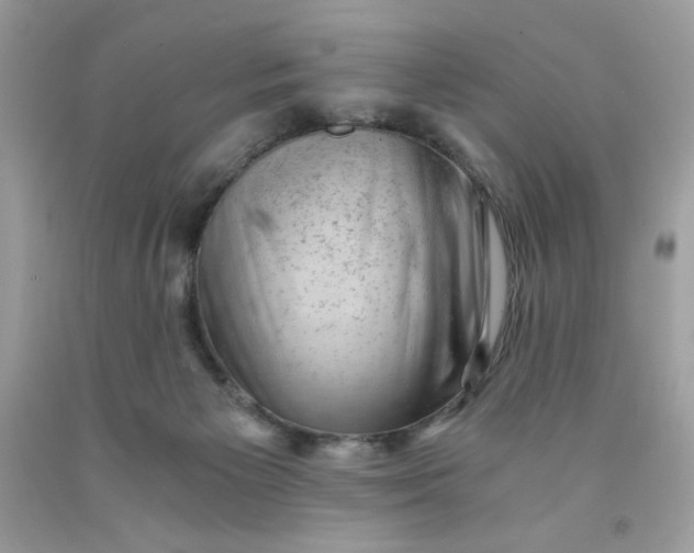 X0000091570125200709051047