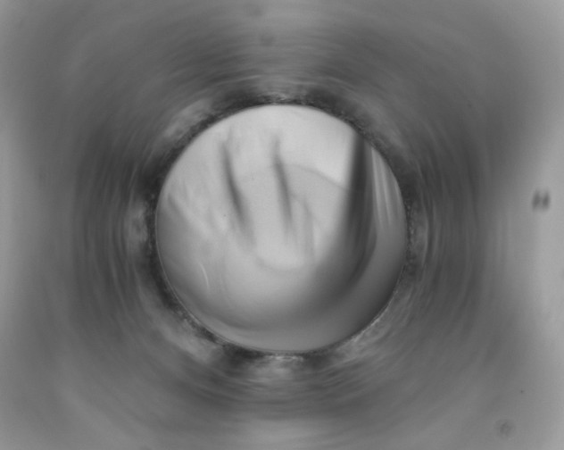 X0000091570128200709051047