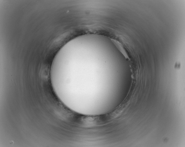 X0000091570129200709051047