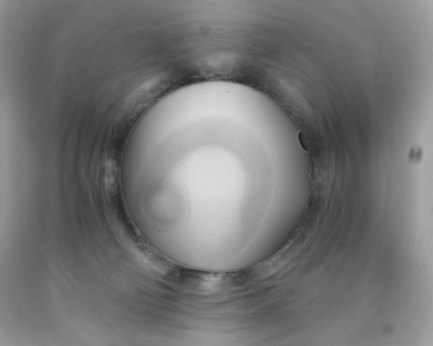 X0000091570130200709051047