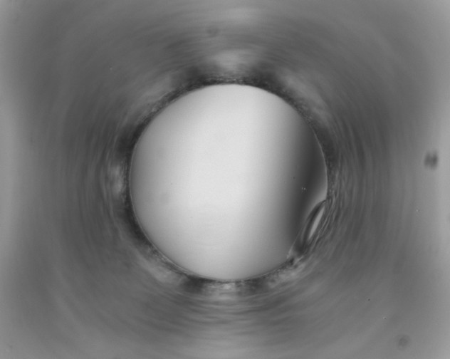 X0000091570131200709051047