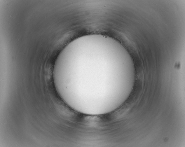 X0000091570133200709051047