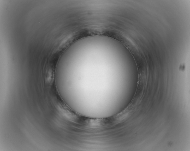 X0000091570134200709051047