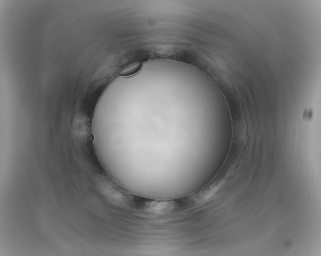 X0000091570135200709051047