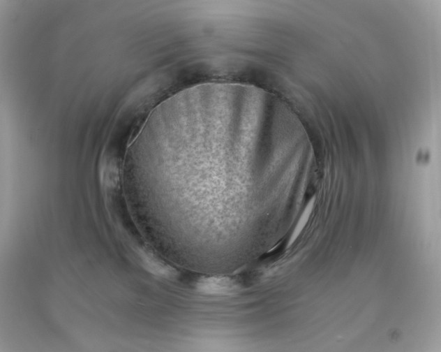 X0000091570137200709051047