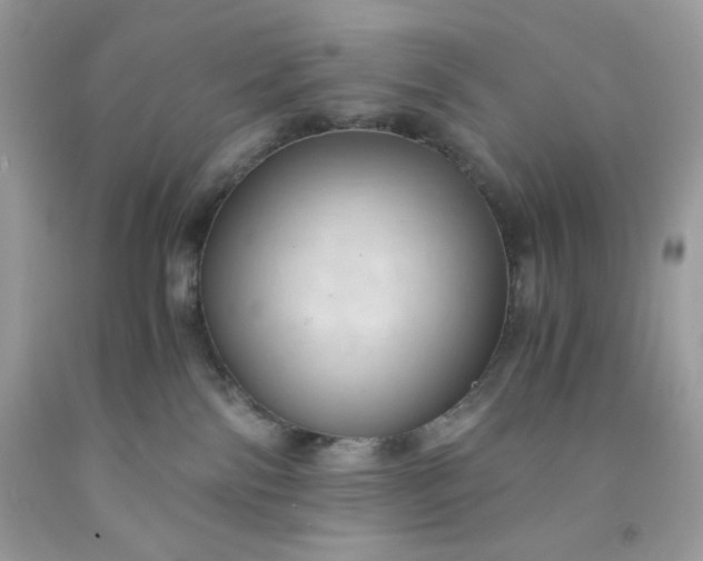 X0000091570138200709051047