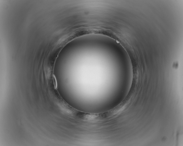 X0000091570139200709051047