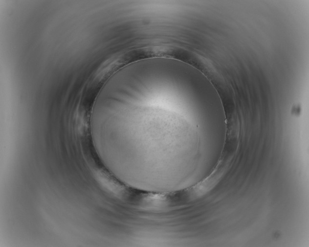 X0000091570140200709051047