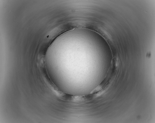 X0000091570141200709051047