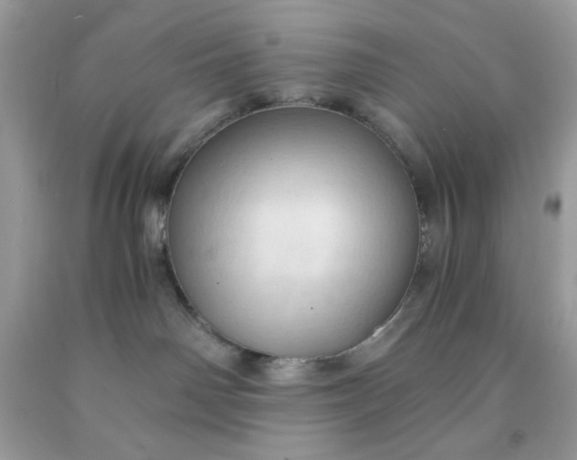 X0000091570142200709051047